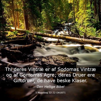 Picture 03 - 5 Mosebog 32:32 DA1871 - Thi deres Vintræ er af Sodomas Vintræ og af - Bible Verse Picture