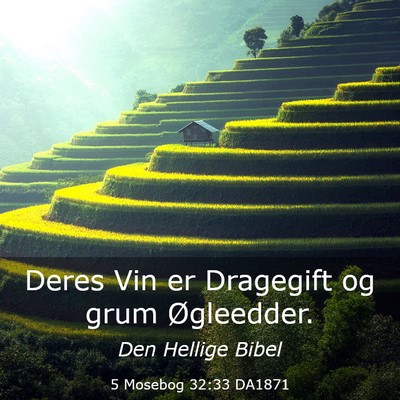 Picture 03 - 5 Mosebog 32:33 DA1871 - Deres Vin er Dragegift og grum - Bible Verse Picture