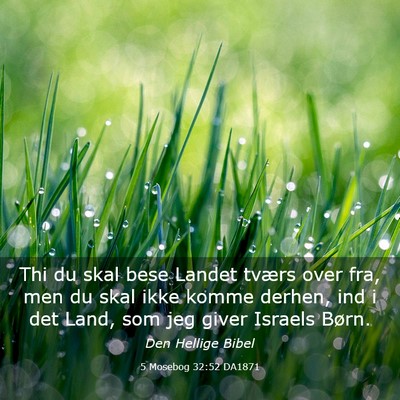 Picture 03 - 5 Mosebog 32:52 DA1871 - Thi du skal bese Landet tværs over fra, men du - Bible Verse Picture