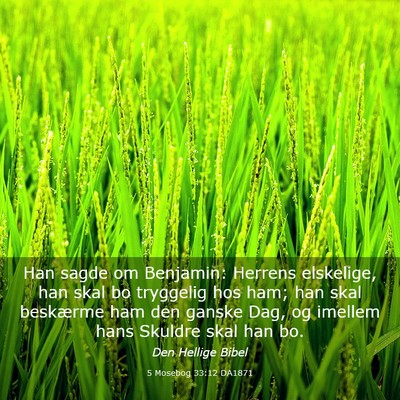 Picture 03 - 5 Mosebog 33:12 DA1871 - Han sagde om Benjamin: Herrens elskelige, han - Bible Verse Picture