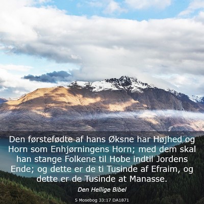 Picture 03 - 5 Mosebog 33:17 DA1871 - Den førstefødte af hans Øksne har Højhed og - Bible Verse Picture