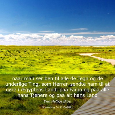 Picture 03 - 5 Mosebog 34:11 DA1871 - naar man ser hen til alle de Tegn og de underlige - Bible Verse Picture