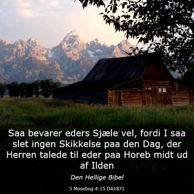 Picture 03 - 5 Mosebog 4:15 DA1871 - Saa bevarer eders Sjæle vel, fordi I saa slet - Bible Verse Picture