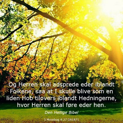 Picture 03 - 5 Mosebog 4:27 DA1871 - Og Herren skal adsprede eder iblandt Folkene, saa - Bible Verse Picture