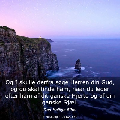 Picture 03 - 5 Mosebog 4:29 DA1871 - Og I skulle derfra søge Herren din Gud, og du - Bible Verse Picture