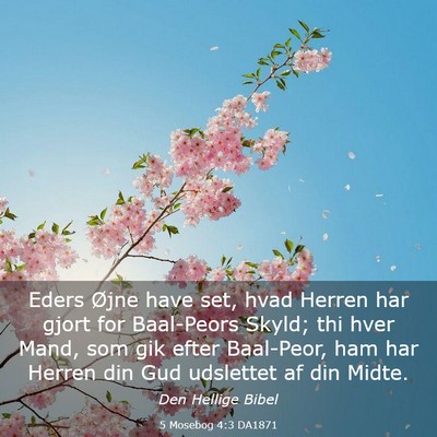 Picture 03 - 5 Mosebog 4:3 DA1871 - Eders Øjne have set, hvad Herren har gjort for - Bible Verse Picture