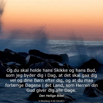 Picture 03 - 5 Mosebog 4:40 DA1871 - Og du skal holde hans Skikke og hans Bud, som jeg - Bible Verse Picture