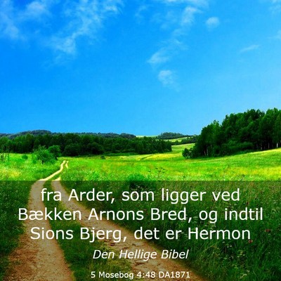 Picture 03 - 5 Mosebog 4:48 DA1871 - fra Arder, som ligger ved Bækken Arnons Bred, og - Bible Verse Picture