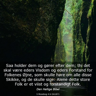 Picture 03 - 5 Mosebog 4:6 DA1871 - Saa holder dem og gører efter dem; thi det skal - Bible Verse Picture