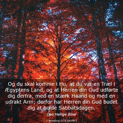 Picture 03 - 5 Mosebog 5:15 DA1871 - Og du skal komme i Hu, at du var en Træl i - Bible Verse Picture