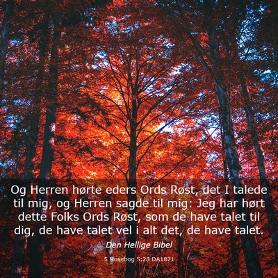 Picture 03 - 5 Mosebog 5:28 DA1871 - Og Herren hørte eders Ords Røst, det I talede - Bible Verse Picture