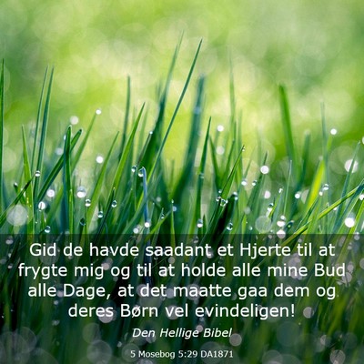 Picture 03 - 5 Mosebog 5:29 DA1871 - Gid de havde saadant et Hjerte til at frygte mig - Bible Verse Picture