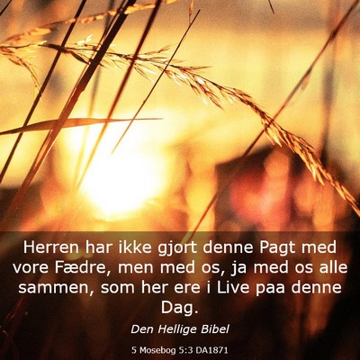 Picture 03 - 5 Mosebog 5:3 DA1871 - Herren har ikke gjort denne Pagt med vore Fædre, - Bible Verse Picture