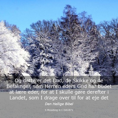Picture 03 - 5 Mosebog 6:1 DA1871 - Og dette er det Bud, de Skikke og de Befalinger, - Bible Verse Picture