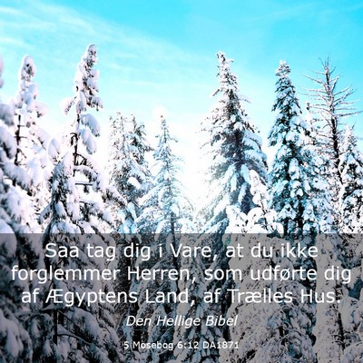 Picture 03 - 5 Mosebog 6:12 DA1871 - Saa tag dig i Vare, at du ikke forglemmer Herren, - Bible Verse Picture