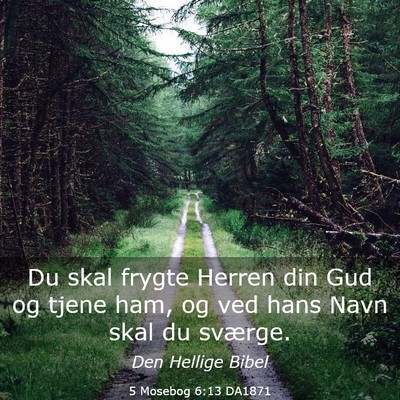 Picture 03 - 5 Mosebog 6:13 DA1871 - Du skal frygte Herren din Gud og tjene ham, og - Bible Verse Picture