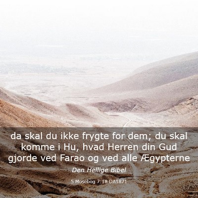 Picture 03 - 5 Mosebog 7:18 DA1871 - da skal du ikke frygte for dem; du skal komme i - Bible Verse Picture
