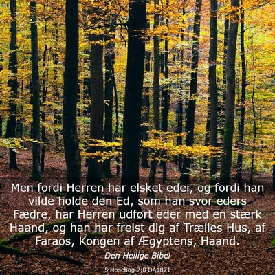 Picture 03 - 5 Mosebog 7:8 DA1871 - Men fordi Herren har elsket eder, og fordi han - Bible Verse Picture