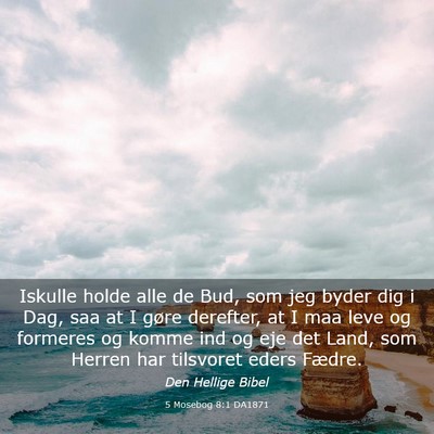 Picture 03 - 5 Mosebog 8:1 DA1871 - Iskulle holde alle de Bud, som jeg byder dig i - Bible Verse Picture