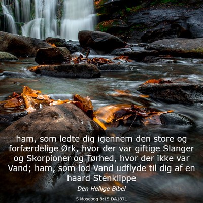 Picture 03 - 5 Mosebog 8:15 DA1871 - ham, som ledte dig igennem den store og - Bible Verse Picture