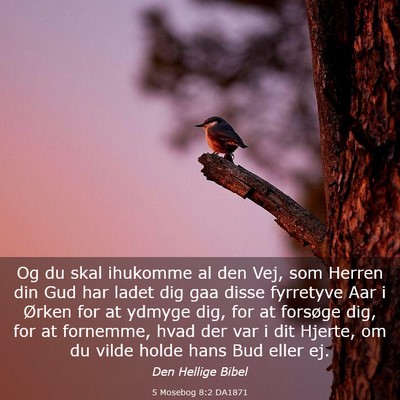Picture 03 - 5 Mosebog 8:2 DA1871 - Og du skal ihukomme al den Vej, som Herren din - Bible Verse Picture
