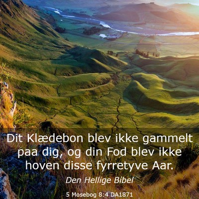 Picture 03 - 5 Mosebog 8:4 DA1871 - Dit Klædebon blev ikke gammelt paa dig, og din - Bible Verse Picture