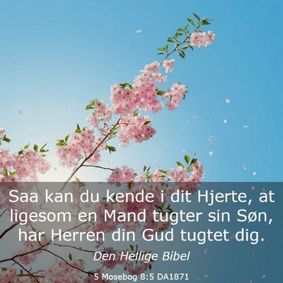 Picture 03 - 5 Mosebog 8:5 DA1871 - Saa kan du kende i dit Hjerte, at ligesom en Mand - Bible Verse Picture