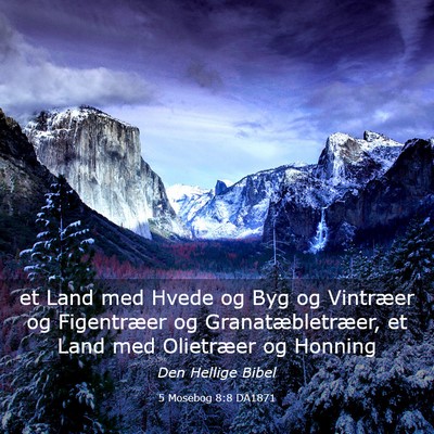 Picture 03 - 5 Mosebog 8:8 DA1871 - et Land med Hvede og Byg og Vintræer og - Bible Verse Picture