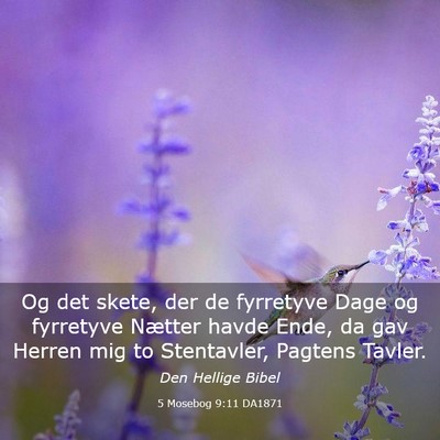 Picture 03 - 5 Mosebog 9:11 DA1871 - Og det skete, der de fyrretyve Dage og fyrretyve - Bible Verse Picture