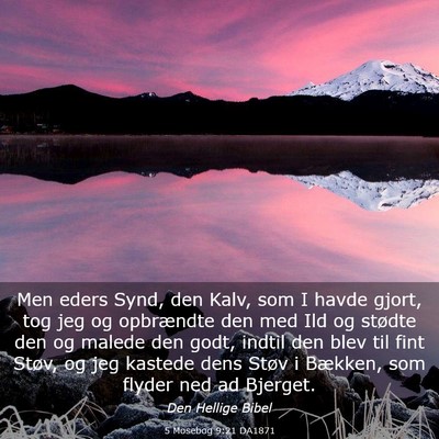 Picture 03 - 5 Mosebog 9:21 DA1871 - Men eders Synd, den Kalv, som I havde gjort, tog - Bible Verse Picture