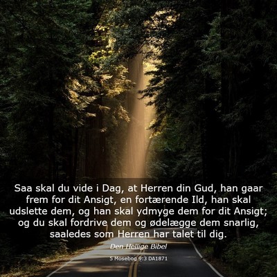 Picture 03 - 5 Mosebog 9:3 DA1871 - Saa skal du vide i Dag, at Herren din Gud, han - Bible Verse Picture