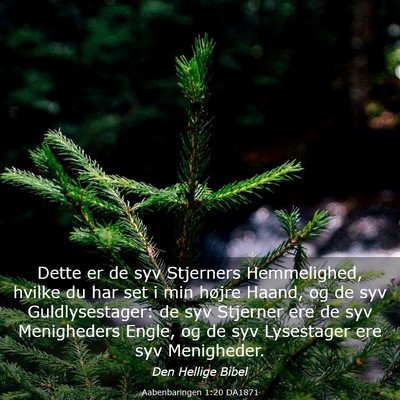 Picture 03 - Aabenbaringen 1:20 DA1871 - Dette er de syv Stjerners Hemmelighed, hvilke du - Bible Verse Picture