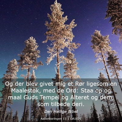 Picture 03 - Aabenbaringen 11:1 DA1871 - Og der blev givet mig et Rør ligesom en - Bible Verse Picture
