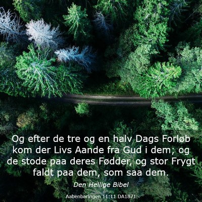 Picture 03 - Aabenbaringen 11:11 DA1871 - Og efter de tre og en halv Dags Forløb kom der - Bible Verse Picture