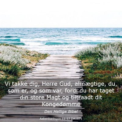 Picture 03 - Aabenbaringen 11:17 DA1871 - Vi takke dig, Herre Gud, almægtige, du, som er, - Bible Verse Picture