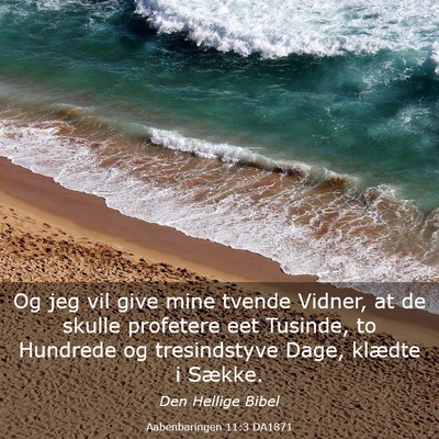 Picture 03 - Aabenbaringen 11:3 DA1871 - Og jeg vil give mine tvende Vidner, at de skulle - Bible Verse Picture