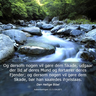 Picture 03 - Aabenbaringen 11:5 DA1871 - Og dersom nogen vil gøre dem Skade, udgaar der - Bible Verse Picture