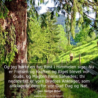 Picture 03 - Aabenbaringen 12:10 DA1871 - Og jeg hørte en høj Røst i Himmelen sige: Nu - Bible Verse Picture