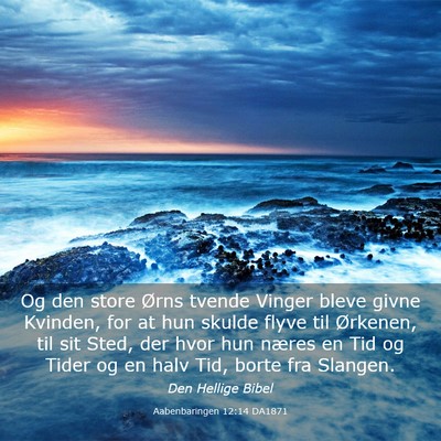 Picture 03 - Aabenbaringen 12:14 DA1871 - Og den store Ørns tvende Vinger bleve givne - Bible Verse Picture
