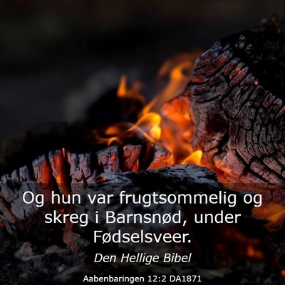 Picture 03 - Aabenbaringen 12:2 DA1871 - Og hun var frugtsommelig og skreg i Barnsnød, - Bible Verse Picture