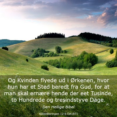 Picture 03 - Aabenbaringen 12:6 DA1871 - Og Kvinden flyede ud i Ørkenen, hvor hun har et - Bible Verse Picture