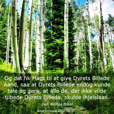 Picture 03 - Aabenbaringen 13:15 DA1871 - Og det fik Magt til at give Dyrets Billede Aand, - Bible Verse Picture