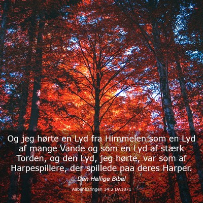 Picture 03 - Aabenbaringen 14:2 DA1871 - Og jeg hørte en Lyd fra Himmelen som en Lyd af - Bible Verse Picture