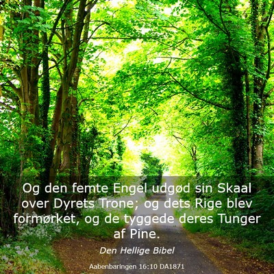 Picture 03 - Aabenbaringen 16:10 DA1871 - Og den femte Engel udgød sin Skaal over Dyrets - Bible Verse Picture