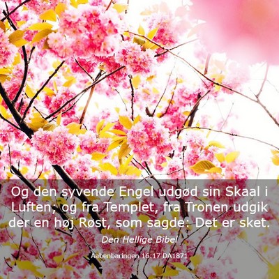 Picture 03 - Aabenbaringen 16:17 DA1871 - Og den syvende Engel udgød sin Skaal i Luften; - Bible Verse Picture