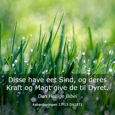 Picture 03 - Aabenbaringen 17:13 DA1871 - Disse have eet Sind, og deres Kraft og Magt give - Bible Verse Picture