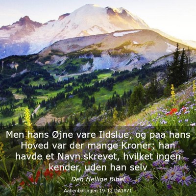 Picture 03 - Aabenbaringen 19:12 DA1871 - Men hans Øjne vare Ildslue, og paa hans Hoved - Bible Verse Picture