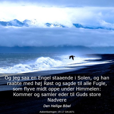 Picture 03 - Aabenbaringen 19:17 DA1871 - Og jeg saa en Engel staaende i Solen, og han - Bible Verse Picture
