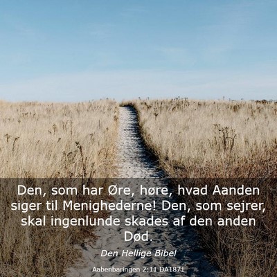 Picture 03 - Aabenbaringen 2:11 DA1871 - Den, som har Øre, høre, hvad Aanden siger til - Bible Verse Picture