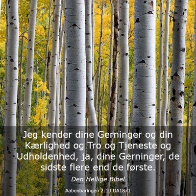 Picture 03 - Aabenbaringen 2:19 DA1871 - Jeg kender dine Gerninger og din Kærlighed og - Bible Verse Picture